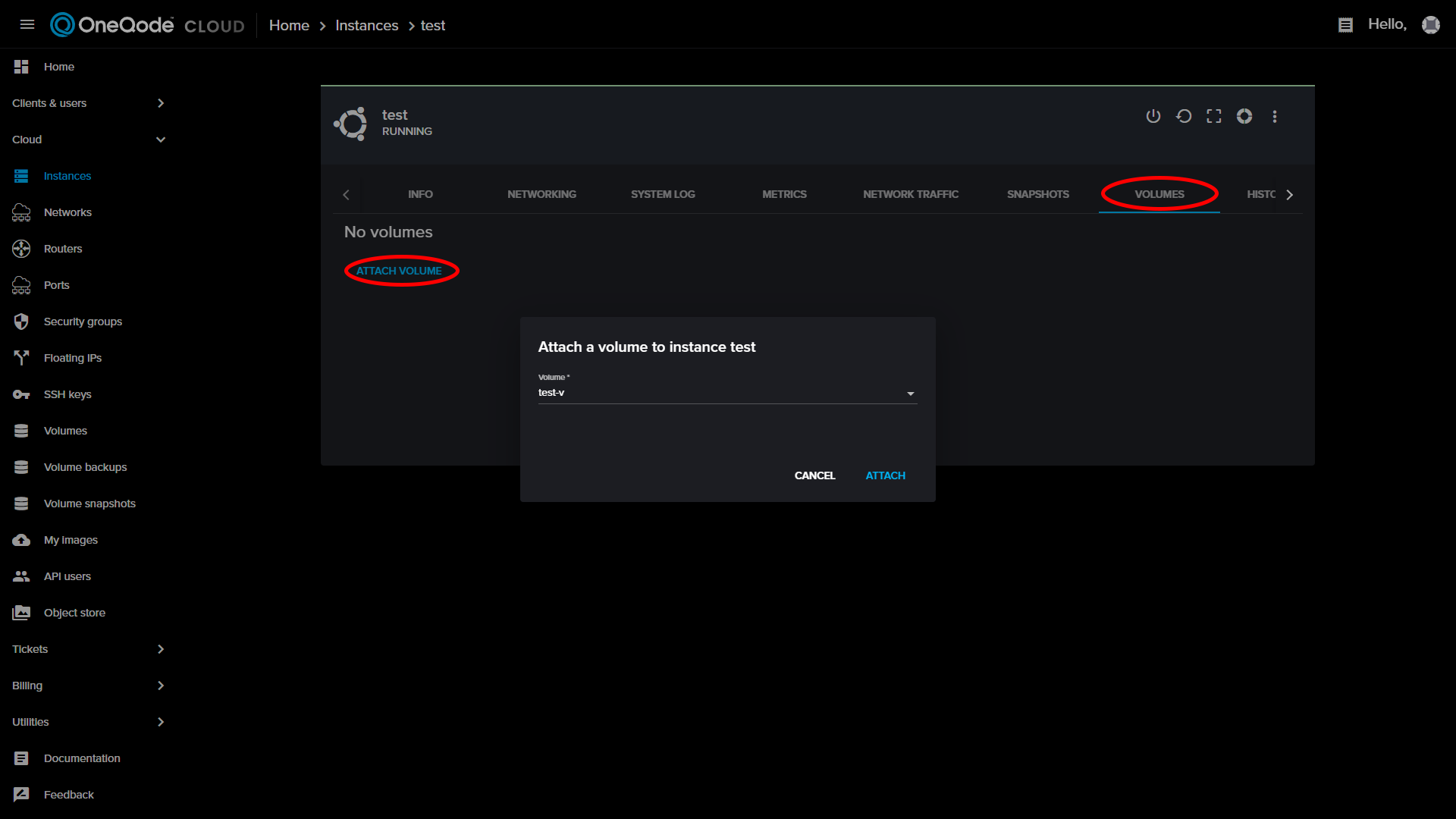 Attach volume dialog